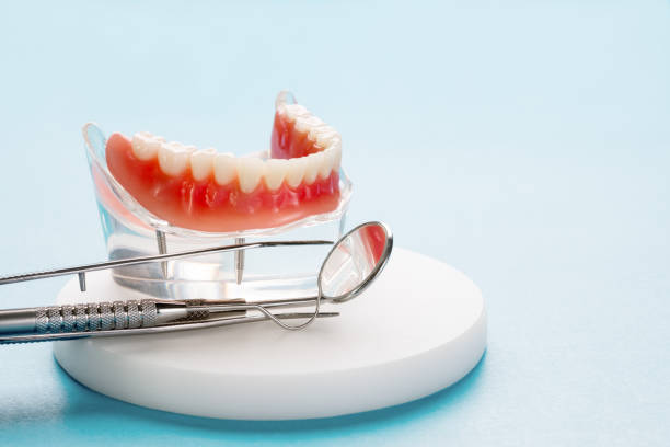 Professional Holistic Dental Care Services in Anderson Creek, NC